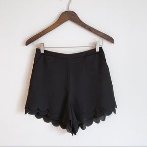 Lauren Conrad Scalloped Shorts